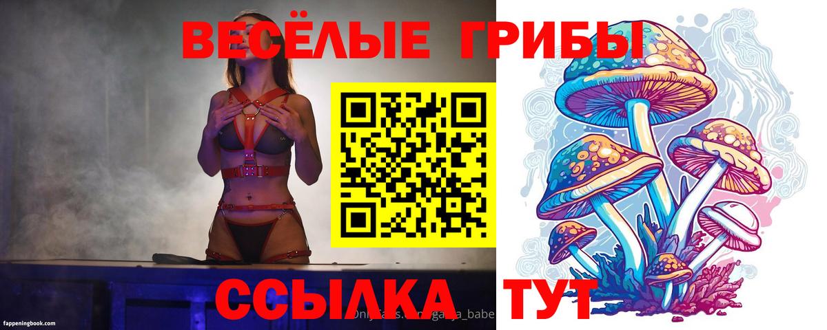 Северобайкальск  Галлюциногенные грибы Magic Shrooms  Вход с VPN  Псилоцибиновые грибы ЛСД 